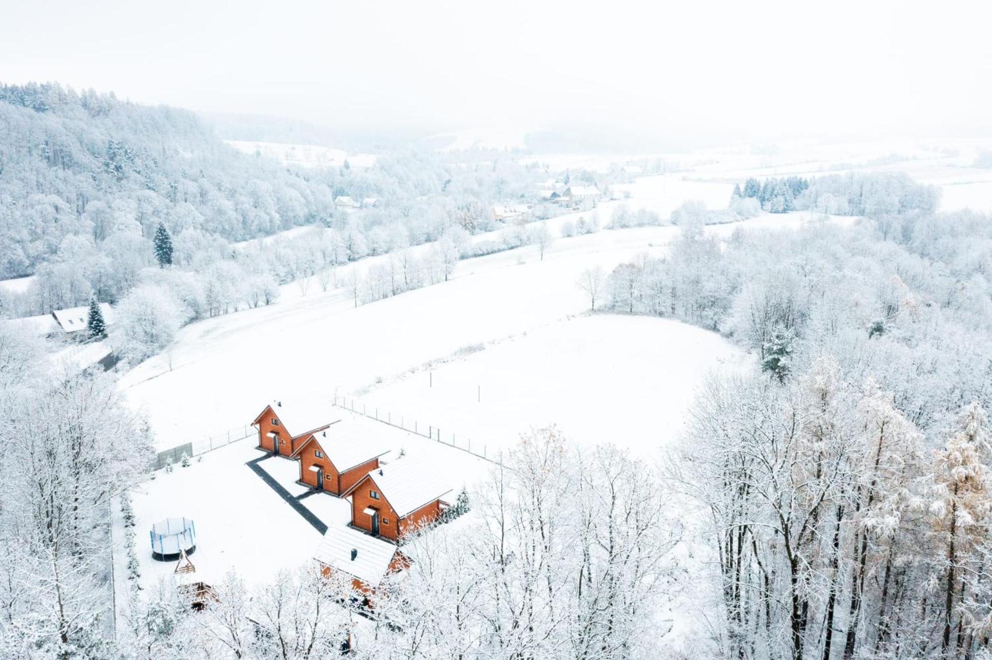 Sloneczne Domki Sudety - Domki Caloroczne Kotlina Klodzka Stary Waliszow Exterior foto